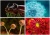 Naptár, fali, DAYLINER, "Macro Lens"